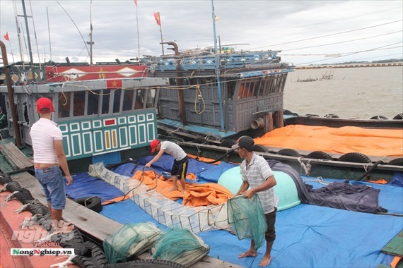 Thừa Thiên - Huế: Quyết tâm tránh 