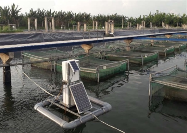 Thủy sản tận dụng cơ hội gì trước CPTPP