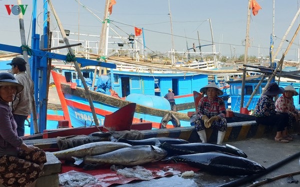 Chính phủ chỉ đạo quyết liệt tháo gỡ ‘thẻ vàng’ EU đối với thuỷ sản