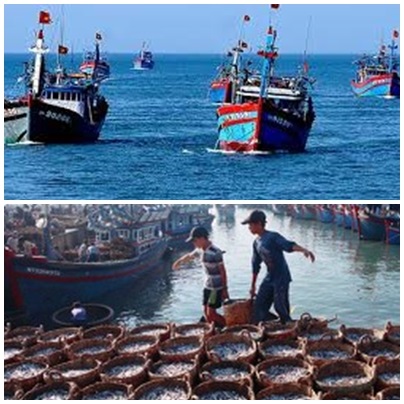 Hoàn thiện dự thảo Chiến lược phát triển kinh tế nuôi trồng thủy sản, kinh tế biển