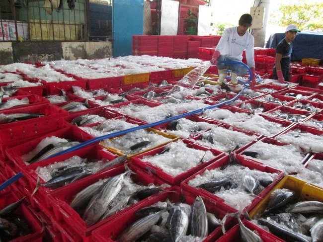 Ghi nhận những nỗ lực gỡ "thẻ vàng" cho thủy sản Việt Nam