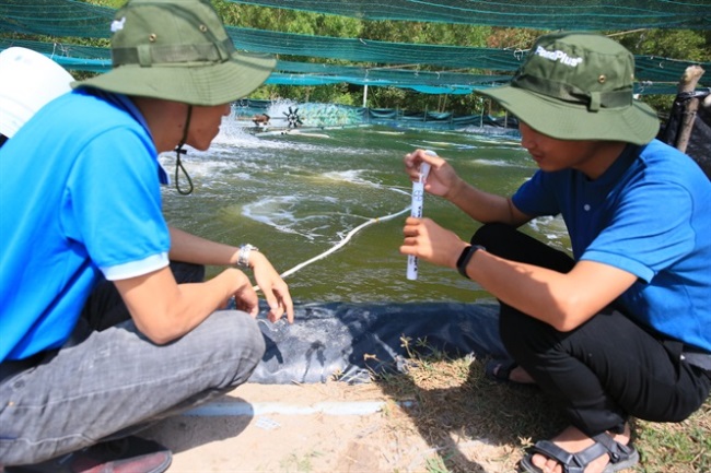 Đầu tư lớn cho nuôi tôm công nghệ cao