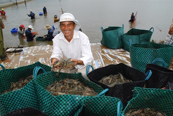 Sóc Trăng: Nuôi trồng thủy sản năm 2019 thắng lớn