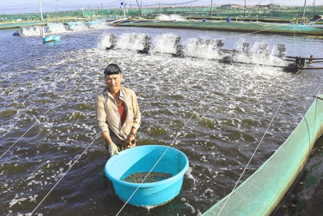 Đa dạng thủy sản nuôi - Hướng phát triển bền vững, hiệu quả
