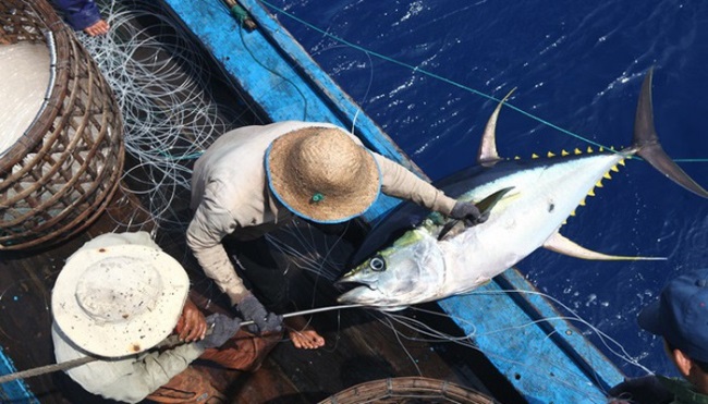 Ngành thủy sản vượt qua rào cản