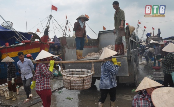 Thái Thụy: Tổng giá trị nuôi trồng, khai thác thủy sản ước đạt hơn 1.780 tỷ đồng