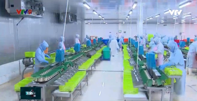 Ngành thủy sản lao đao với quy định mới từ EU