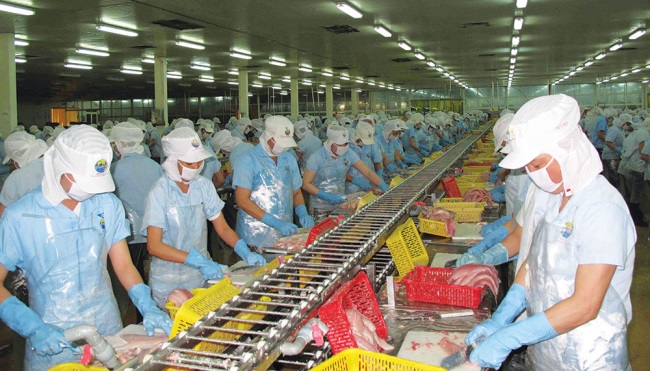 Nỗ lực vượt khó của ngành hàng thủy sản