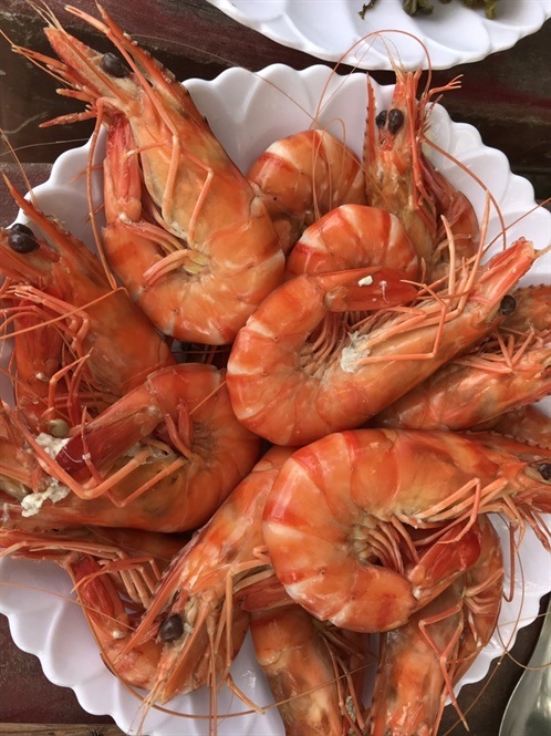 Hai nữ tiến sỹ theo đuổi nuôi tôm vi sinh