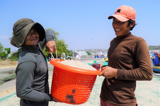 Phan Thiết rộ mùa ruốc