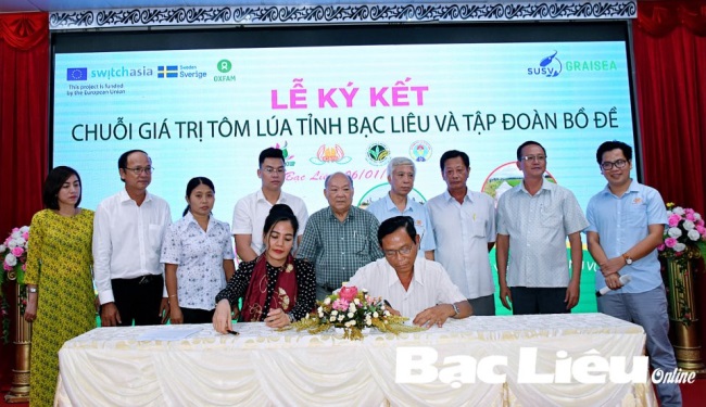 Bạc Liêu: Đẩy mạnh liên kết phát triển mô hình tôm sạch, lúa an toàn