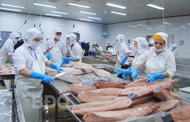 Bình Định: Ngành thủy sản trên đà phát triển