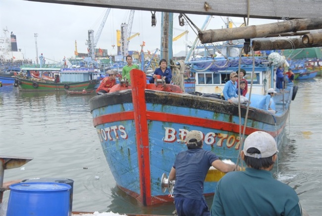 Nhiều tàu cá Bình Định trúng 