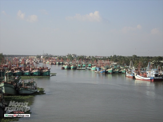 Kiên Giang sẽ học Hàn Quốc, Thái Lan về chống khai thác IUU