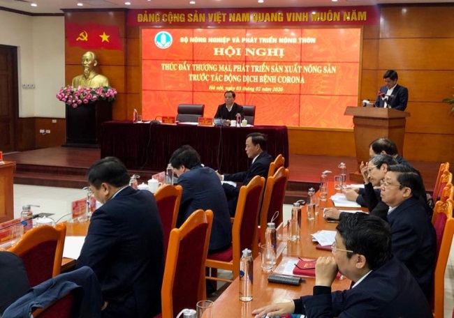 Xuất khẩu nông sản thời dịch: Trong nguy có cơ