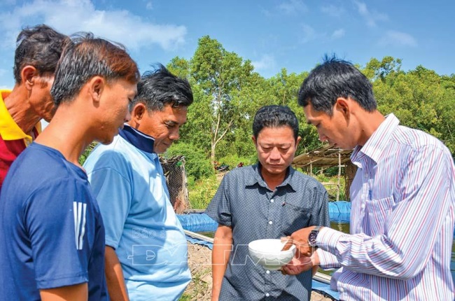 Kiểm soát chất lượng tôm giống