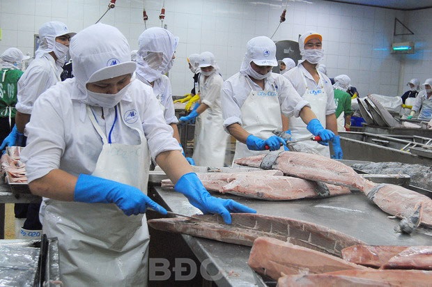 Doanh nghiệp thủy sản với cơ hội từ EVFTA: Chủ động đổi mới, hợp tác phát triển