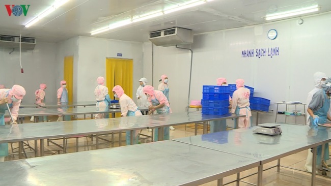 Ngành Thủy sản Phú Yên thiếu nguyên liệu chế biến trầm trọng