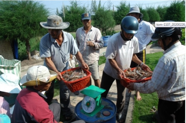Xuất khẩu thủy sản vẫn có cơ hội