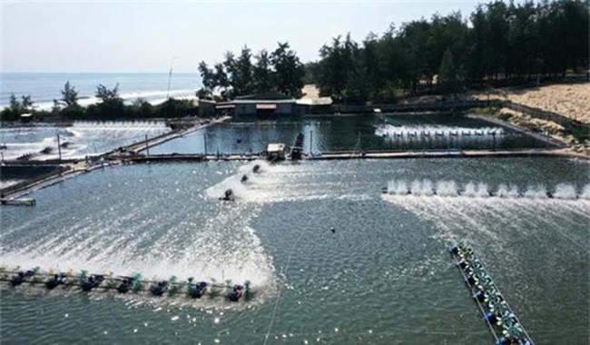 Gỡ khó cho doanh nghiệp bị ảnh hưởng của dịch bệnh