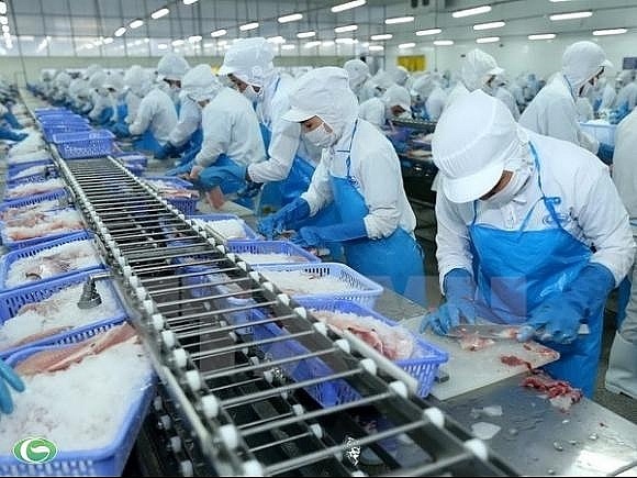 SSI Research: Tác động của EVFTA đến Vĩnh Hoàn là không đáng kể