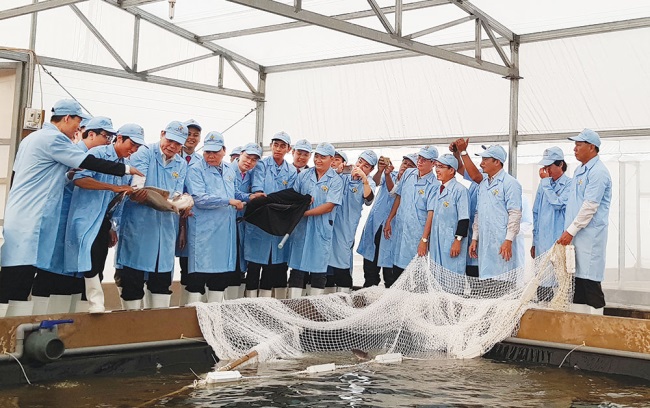 Hướng đi nào cho con cá tra?