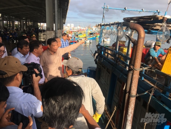 Bình Định triển khai đồng bộ 4 nhóm giải pháp chống khai thác IUU