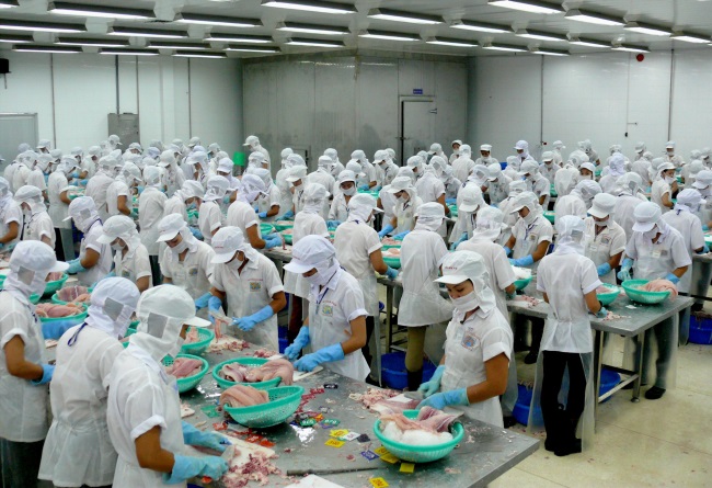 An Giang: Hàng ngàn lao động ngành thủy sản, giao thông bị ảnh hưởng