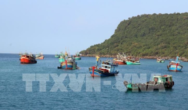 Phát triển bền vững nghề cá - Bài 2: Chuyển hướng sản xuất