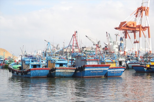 Bình Định:Lắp đặt hệ thống giám sát hành trình cho tất cả tàu cá trước 1/4