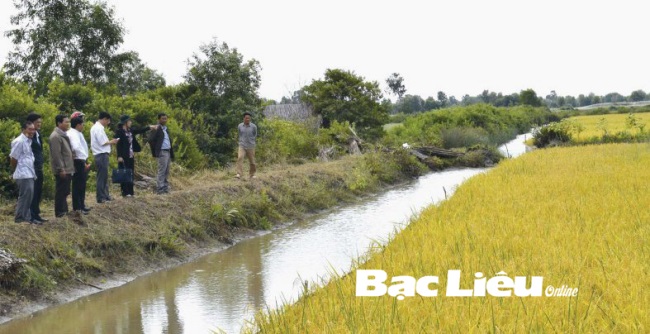 TX. Giá Rai (Bạc Liêu): Nhân rộng mô hình lúa - tôm