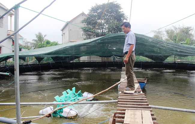 Quảng Bình: Người mở hướng nuôi tôm công nghệ cao ở Quảng Trạch