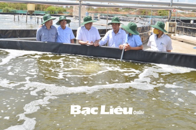 Tổng cục Thủy sản kiểm tra sản xuất và nuôi trồng thủy sản tại Bạc Liêu