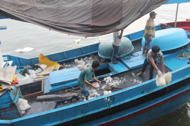 Giám sát việc lắp đặt thiết bị giám sát hành trình đối với tàu cá trên 15m