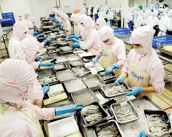 An Giang: Nhiều lao động phải tạm dừng việc