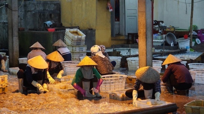 Quận Đồ Sơn: Tổng giá trị khai thác thủy sản ước đạt 114.570 triệu đồng