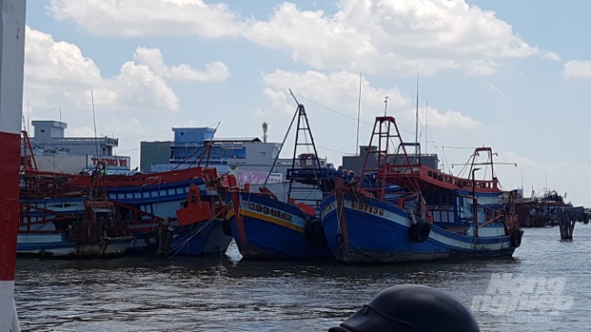 Cà Mau: Cần kiểm soát tàu cá triệt để hơn
