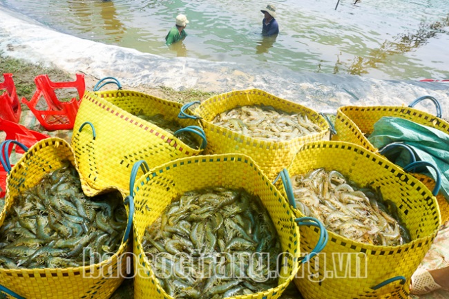 ‘Tự vệ’ trước Covid-19