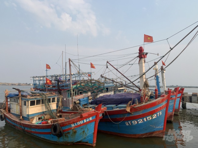 Làng biển thiếu người đi biển