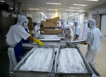 Doanh nghiệp lao đao vì COVID-19