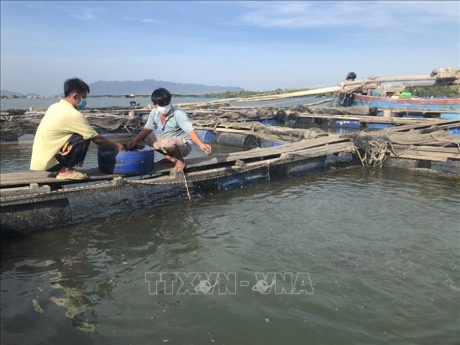 Hỗ trợ người nuôi thủy sản thủ tục giãn nợ và vay thêm vốn