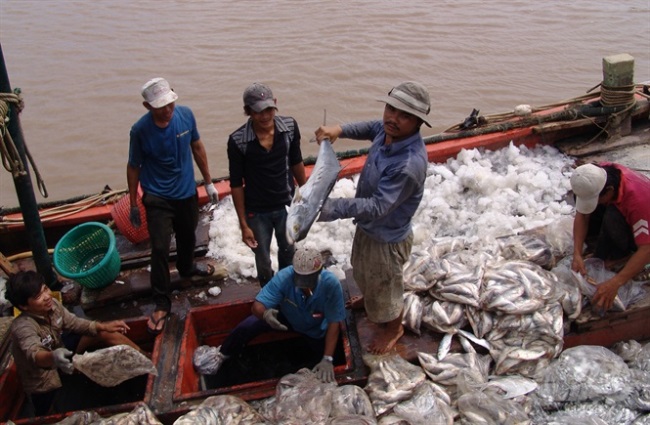 Bạc Liêu: Gỡ thẻ vàng IUU bước đầu khả quan