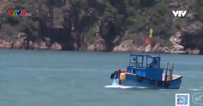 Bình Định: Mở đợt cao điểm chống khai thác thủy sản bất hợp pháp