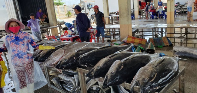 Khai thác hải sản dần phục hồi