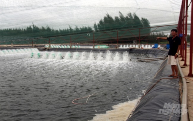 Các vùng nuôi tôm Thanh Hóa sử dụng chế phẩm sinh học
