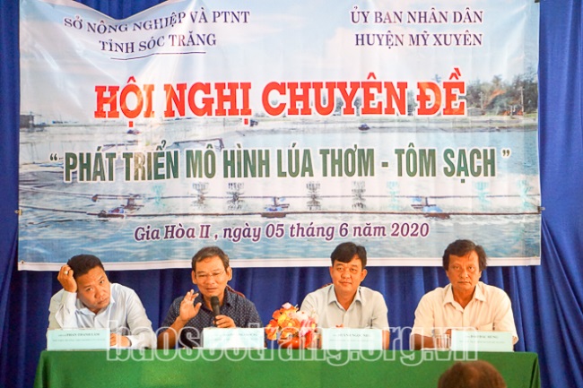 Lúa thơm – Tôm sạch, mô hình thông minh và bền vững