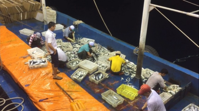 Quảng Ninh có sự đồng hành của người dân trong việc gỡ thẻ vàng EC