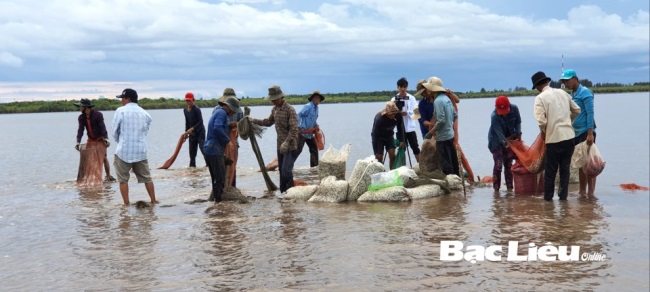 Bạc Liêu: Hợp tác xã Nuôi nghêu Đồng Tiến: Tái sản xuất sau dịch COVID-19