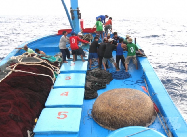 Nỗi khổ lao động nghề cá không chuyên