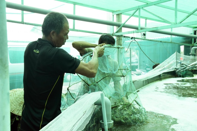 Giảm thiệt hại cho người nuôi thủy sản mùa mưa bão